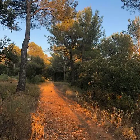 Guest house Les Cabanons Sainte Victoire